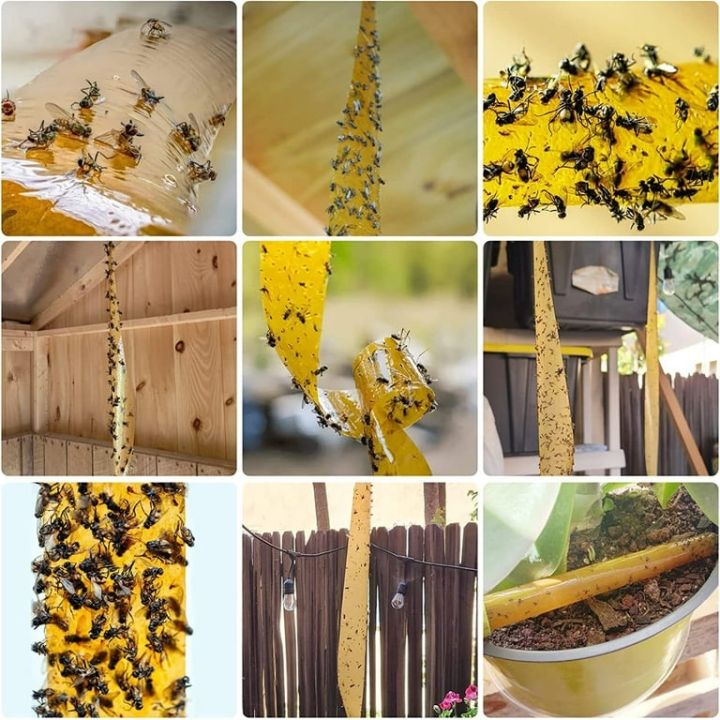 Fly%20Trap%20Paper%20Strips,%20Fly%20Trap,%20Fly%20Catcher%20Trap,%20Fly%20Ribbon,%20Set%20of%201Pcs%20-%20Image%207