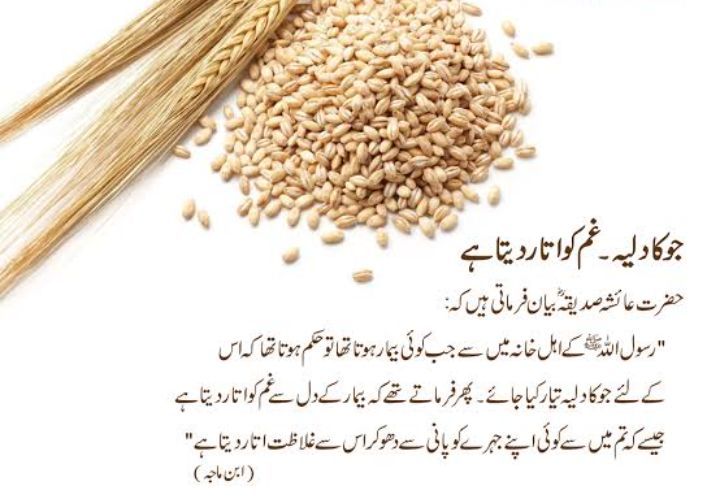 joo%20ka%20daliya%20-%20barley%20porridge-%201kg%20-%20Image%202