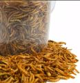 dry worm 25g | pure organic for bird | finches | hens and hamster. 