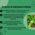 Organic Bhringraj Powder 100 grams For Hair Growth - 100% Original - Bhangra - Keshraj - بھرنگراج - بھنگرہ پاؤڈر Bhrengraj Leaf  - Bringraj - Bhrangraj - Bangra - Bhangrha - Black Bhringraaj Powder - بھنگراج پاؤڈر - Nashpati Brand. 