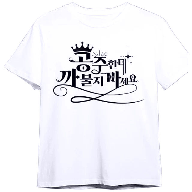 K-Girls T-Shirt “Don't Mess with Princess” Korean Slogan Graphic Tee Stylish White Top for K-Fashion Enthusiasts Y2K Tee Tops