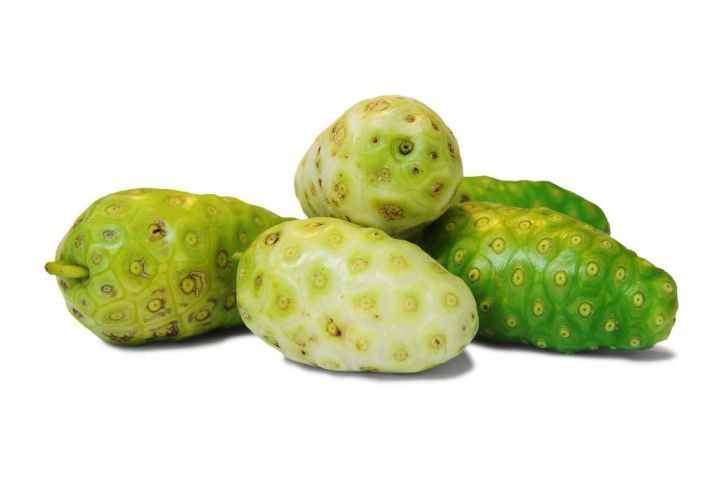Ahu%20plant%20noni%20fruit%20plant%20-%20Image%204