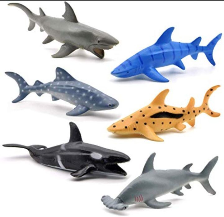 Animal%20Marino%20x%206%20Med%20-%20Image%204
