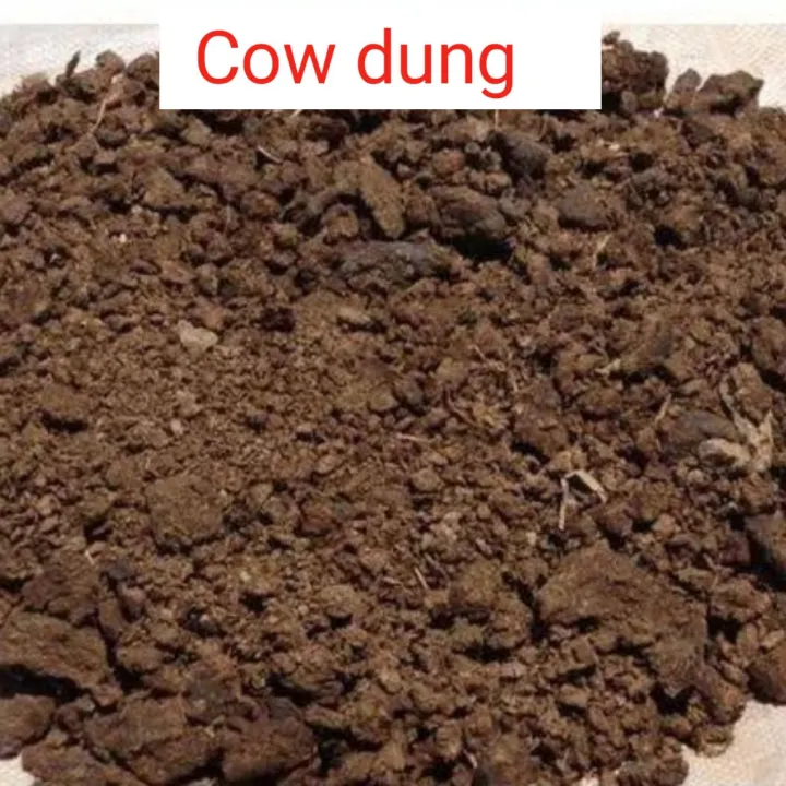 Best%20quality%20Cow%20dung%20fertilizer%205%20kg--%20100%25%20sukno%20-%20Image%202