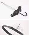 Japanese Transparent Umbrella. 