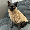Pet Cat Sweater Home Fur Autumn and Winter Warm Solid Color Soft Arctic Velvet Skincare Suitable for Devonshire Cats, Hairless C. 