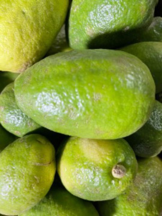 lemon%201kg%20%E0%B6%BD%E0%B7%99%E0%B6%B8%E0%B6%B1%E0%B7%8A%20%E0%B6%AF%E0%B7%99%E0%B7%84%E0%B7%92%20%E0%AE%8E%E0%AE%B2%E0%AF%81%E0%AE%AE%E0%AE%BF%E0%AE%9A%E0%AF%8D%E0%AE%9A%E0%AF%88%20-%20Image%204