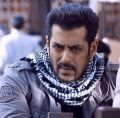 Tiget Salman khan Rumal in cotton pure for summer. 