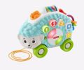 Fisher-Price Linkimals Learning Toy Happy Shapes Hedgehog Pull Along with Interactive Music and Lights for Baby and Toddler. 