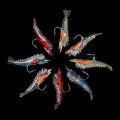 4pcs Realistic Soft Shrimp Fishing Lures Artificial Bait with Sharp Hooks for Freshwater Saltwater. 