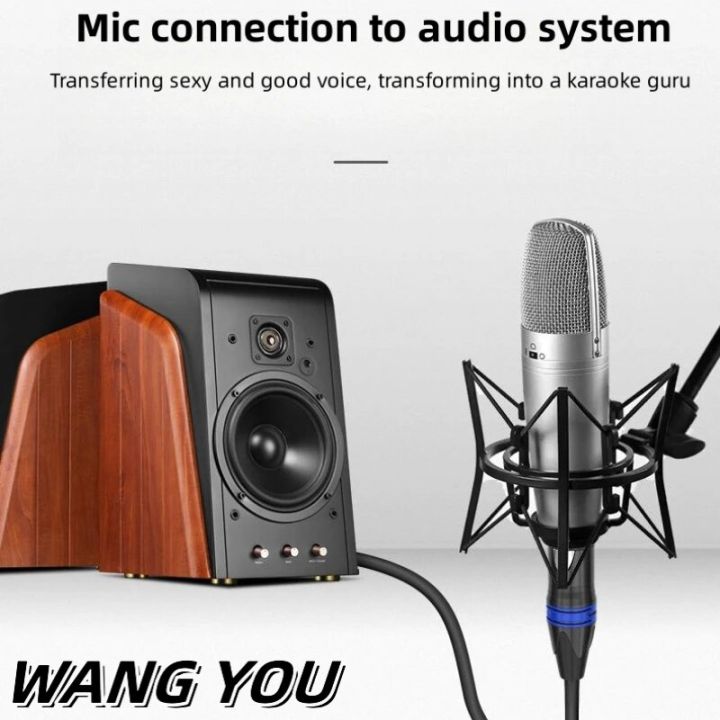 6.35mm%20XLR%20Male%20And%20Female%20Microphone%20Cable%20Large%20Three%20Core%20Large%20Two%20Core%20Mixing%20Table%20Power%20Amplifier%20Sound%20Cable%20-%20Image%205