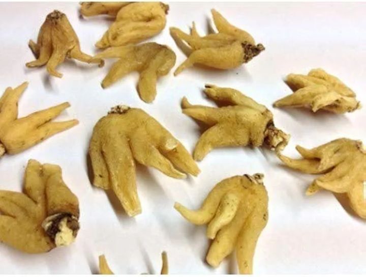50%20gram%20Salab%20Panja%20-%20Salam%20Panja%20-%20Original%20Herbal%20Product%20-%20Premium%20Quality%20-%20Image%203