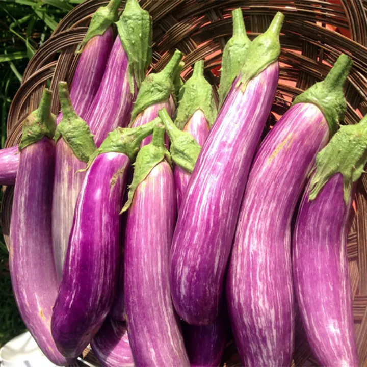 Yaramila%20Winner%2015:9:20+TE%20100g,200g,500g%20High%20Nitrogen%20fertilizer%20For%20Vegitables%20and%20flowers%20-%20Image%206