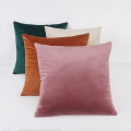 Velvet Burnt Throw Pillow 18X18 Inch Square Pillowcases Soft Cozy Cushion Cases for Couch Bedroom Living Room Home Decor. 