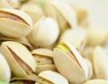 pista pistachew salted  in best quality low price. 