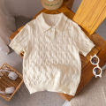Boys' casual style solid color Fried Dough Twists polo shirt short sleeve thin sweater pullover sweater.