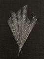 Sweet cones empty pack of 30 without filling#filling cones, Mehndi filling cones. 