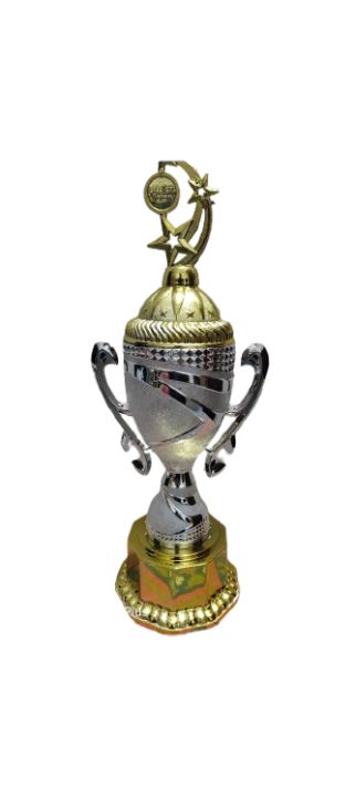gold%20and%20silver%20plastic%20trophy%2055cm%20-%20Image%206