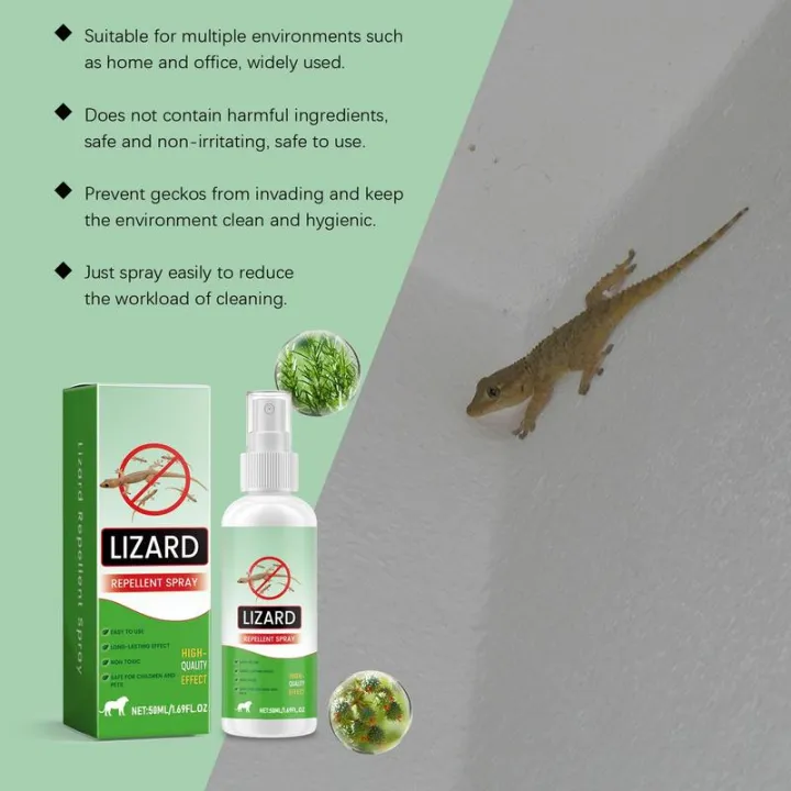 Rodents%20Repellents%20Indoor%2050ml%20Lizard%20Repellents%20Lavender%20Oil%20Gecko%20Spray%20Powerful%20Reptile%20Deterrening%20Pet%20Safe%20Repel%20Repeller%20-%20Image%205