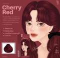 Kota Color Cream Hair Color (CHERRY RED). 