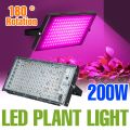 LED Full Spectrum Grow Light 220V Greenhouse Plant Lamp Tent Vegetables Indoor Flower Hydroponic Fill Lighting 200W 100W 50W 25W. 