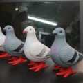 Clockwork Pigeon Simulation animal plush jumping stail children's toys -1pcs.