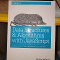 Data Structures & Algorithms With Javascript By Michael McMillan. 