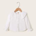 1-6 Years Kids Girls Long Sleeve Top Lace Doll Collar Autumn Korean Style White Shirt Toddlers Girls Daily Versatile Clothes. 