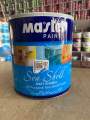 Master paint matt enamel gallon black colour. 