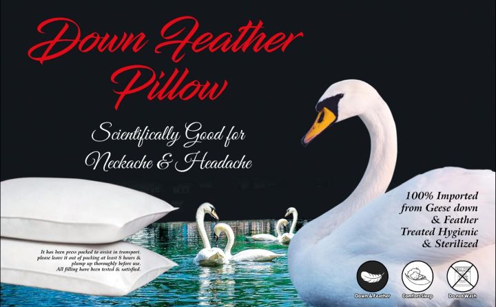 Duck Feather & Down Pillow 100% Pure With Life Time Warrant