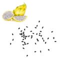 Original Dragon Fruit Seeds Fresh Seeds pack of 10 Dragon seeds. 