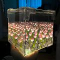 Infinity Cube Tulip Lamp. 