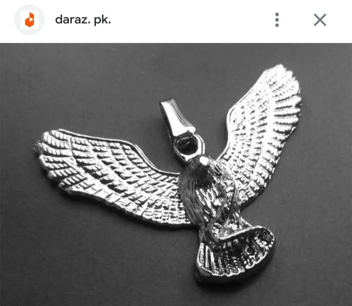 New%20High%20Quality%20Silver%20stainless%20steel%20Eagle%20Locket%20pendant%20Necklace%20For%20Men/Boys%20Top%20Trending%20-%20Image%207