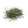 Chirata / Chirayata / Swertia 50 gm. 