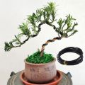 5M Bonsai Wires Plant Support Branches Bend Fixing Wires Anodized Aluminum Bonsai Training Wire Garden DIY Tool 1/1.5/2/2.5/3 mm. 