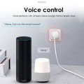 JSPTEC  ZigBee Smart Plug 20A Smart Home Outlet Socket EU 4200W with Power Monitor Function Supports Alexa Alice Hey . 
