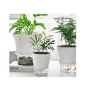Transparent Plastic Self Watering Flowerpot Cotton Rope Automatic Suction Planter for Desk Garden Lazy Self-Absorbing Plants Pot. 