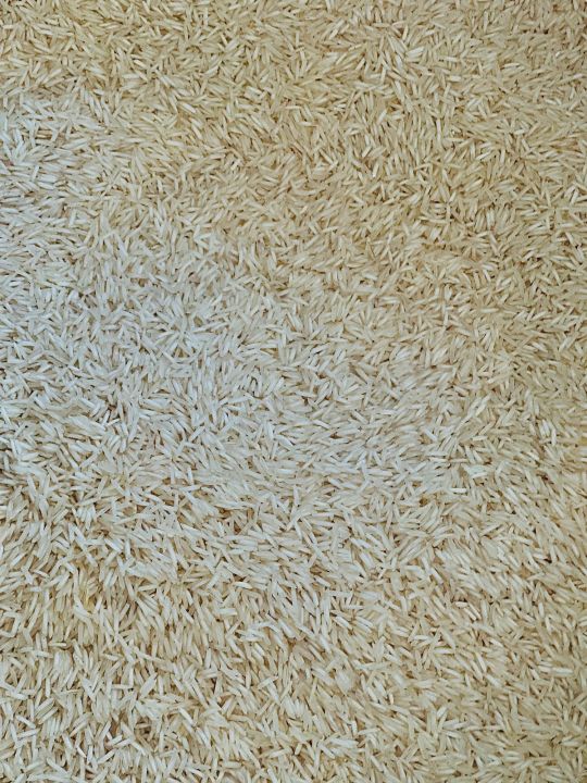 Rice,%20Steam%20rice,%20Steam%20Rice%201121:%20premium%20quality%20kainat%20variety%20,%2010kg-%20your%20ultimate%20Rice%20cooker%20companion%20-%20Image%206