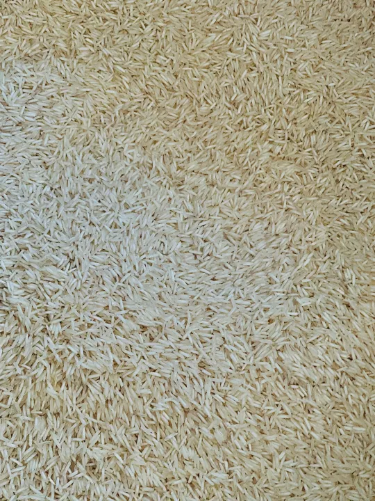 Rice,%20Steam%20rice,%20Steam%20Rice%201121:%20premium%20quality%20kainat%20variety%20,%2010kg-%20your%20ultimate%20Rice%20cooker%20companion%20-%20Image%206
