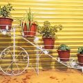Gamala Stand Cycle Design  5 Pot Holder White  Metal Gamala Holder. 