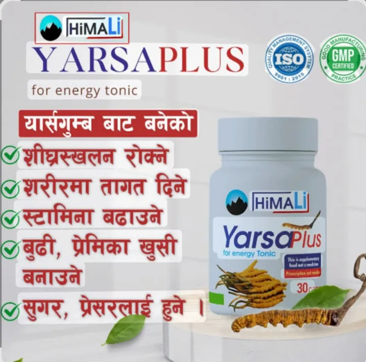 HIMALI Yarsa Plus Herbal Food Supplement Capsules for Energy & Stamina ...