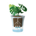 Transparent Plastic Self Watering Flowerpot Cotton Rope Automatic Suction Planter for Desk Garden Lazy Self-Absorbing Plants Pot. 
