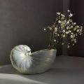 Ferm living shell pot, concrete shell vase, handmade shell vase for flowers, shell vase, Shell candle pot. 