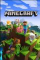 Minecraft for pc and laptop. 