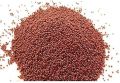 Rai dana | Red Mustard  seeds | 100 gm. 