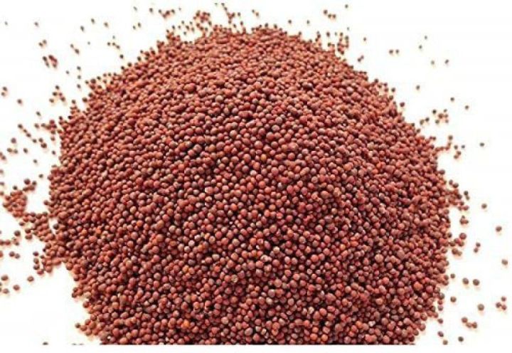 Rai dana | Red Mustard  seeds | 100 gm