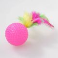 Cat Toy With Feathers In Rainbow Colors Entertaining Cat Ball Kitten Kicking Toy. 