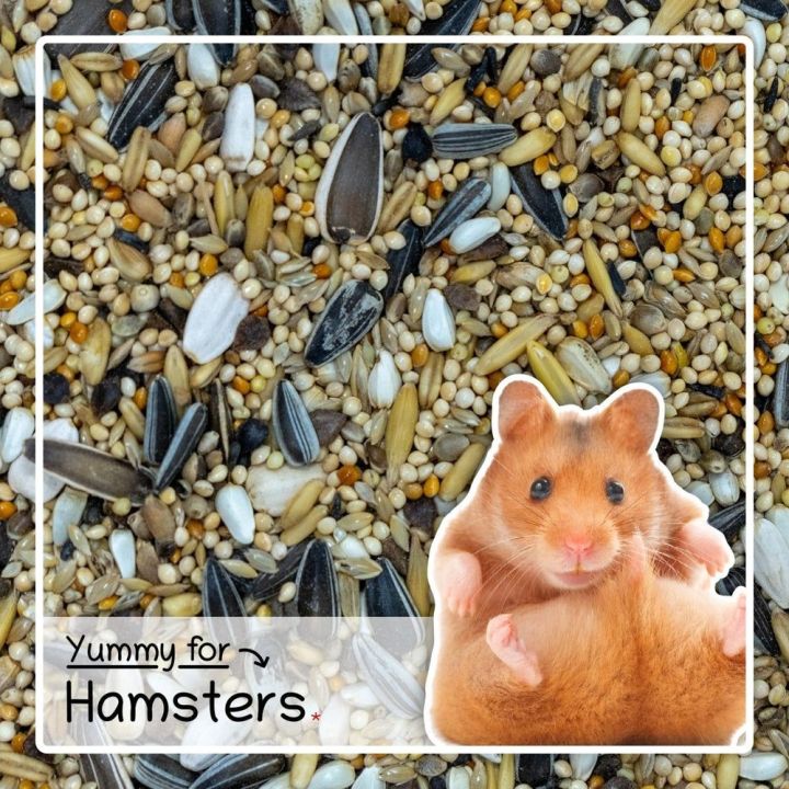 Hamster food / hamsters feed mix grain 1-kg