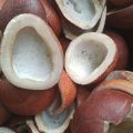 khopra giri best quality  coconut gri nariyal gri. 