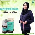Phytolacca Berry Tablets – For Weight Loss | Fat Burner. 